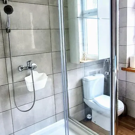 Zielona Kamienica 아파트 *