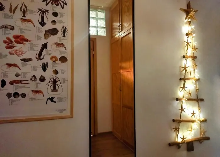 Zielona Kamienica Апартаменты *