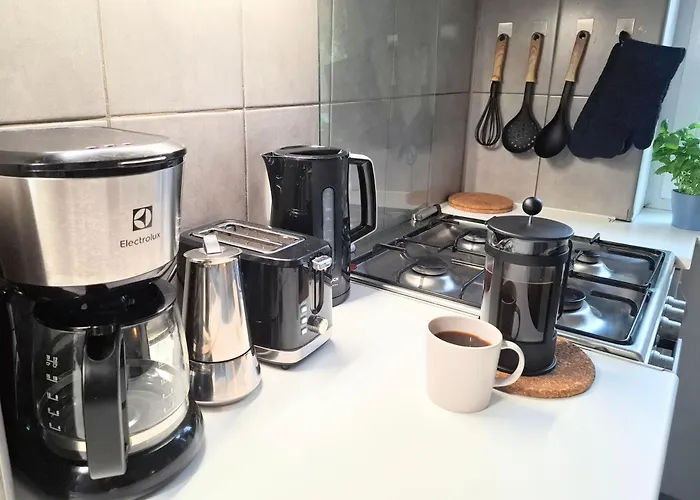 Zielona Kamienica Апартаменты *