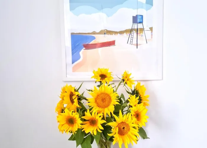 Zielona Kamienica Апартаменты *