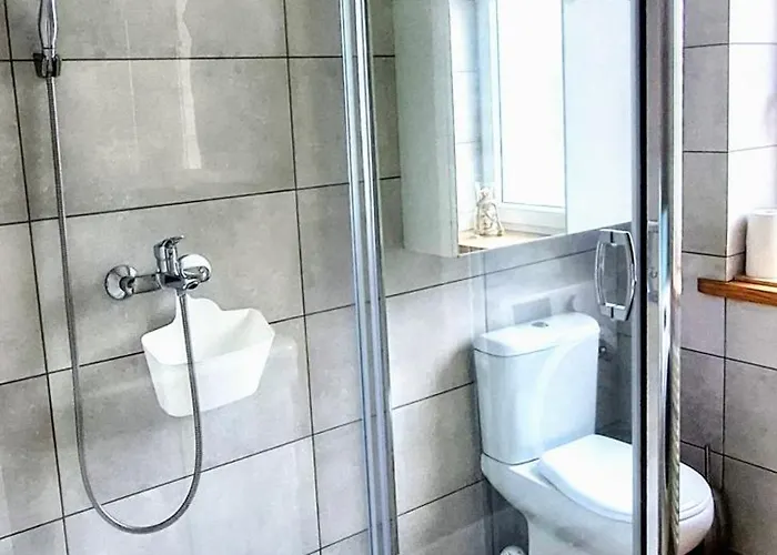 Zielona Kamienica Апартаменты *