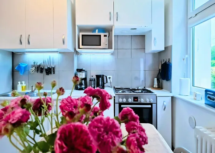 Zielona Kamienica Апартаменты *