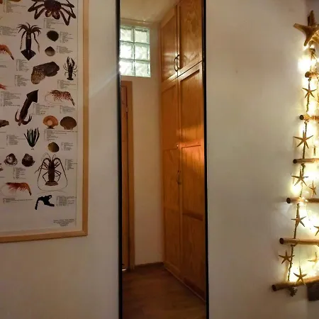 Zielona Kamienica Apartment *