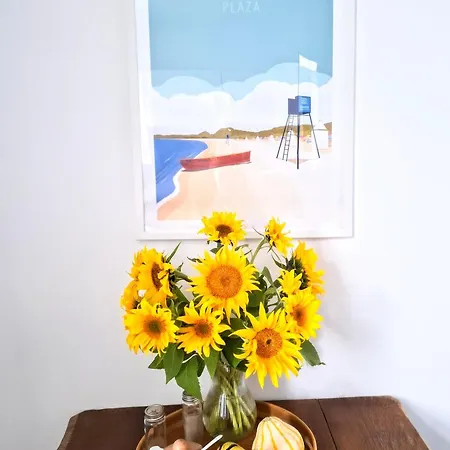 Zielona Kamienica Daire *