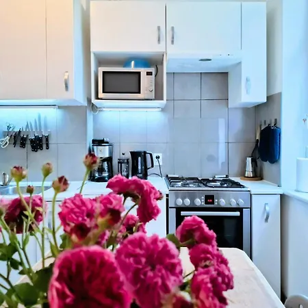 Zielona Kamienica Apartment *